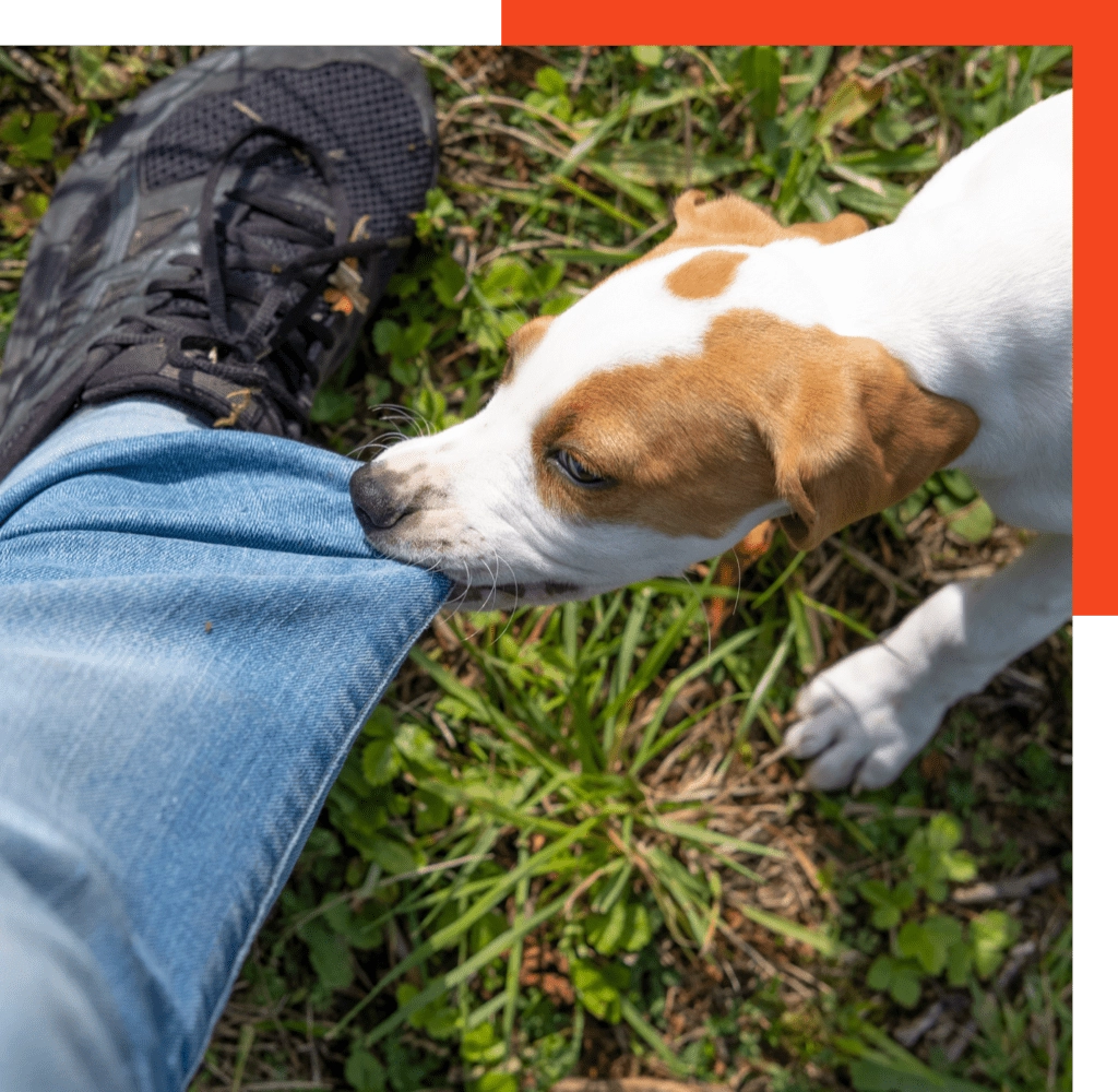 content-img4 content-img4